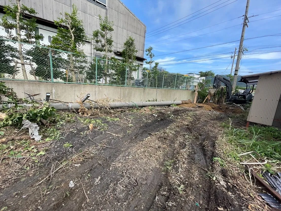 樹木伐採、整地作業させて頂きました