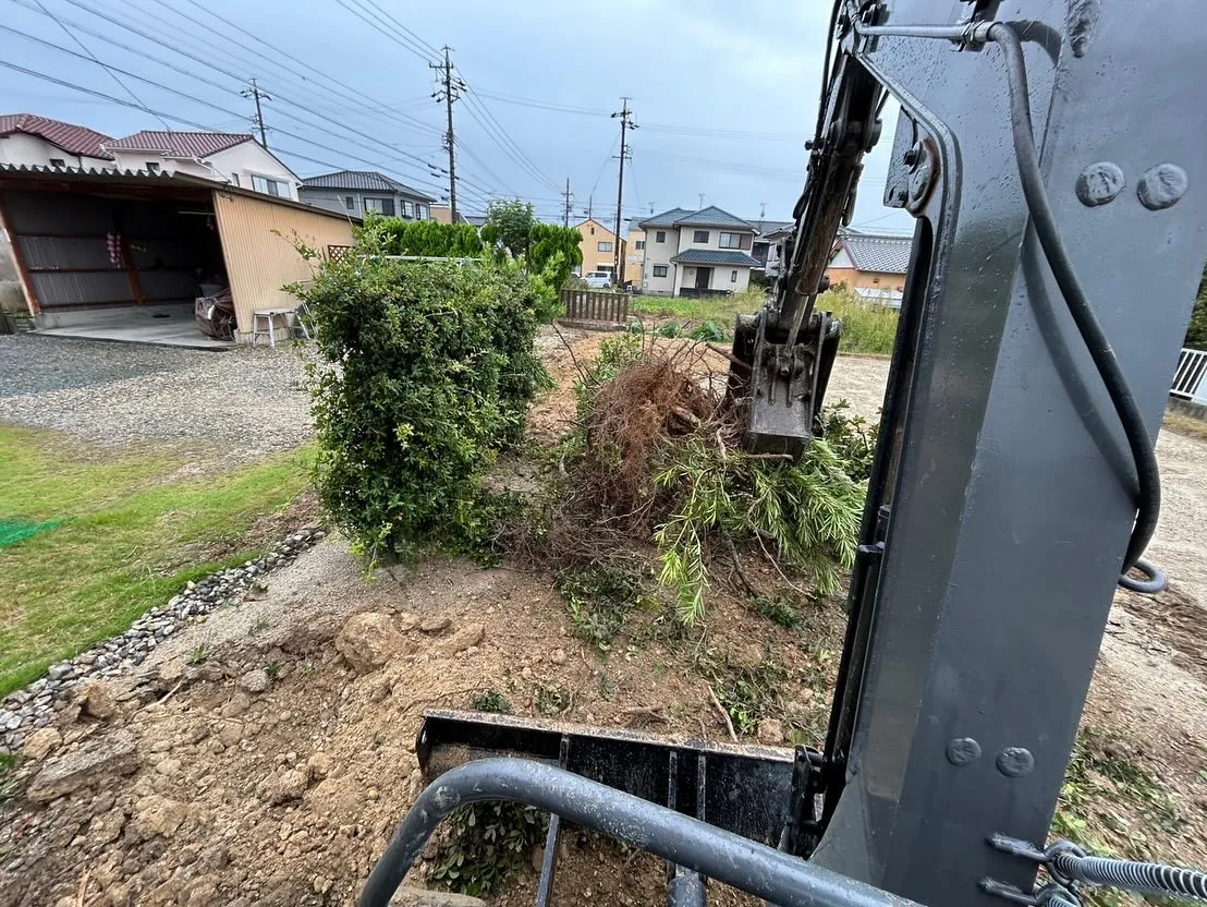 樹木伐採作業させて頂きました