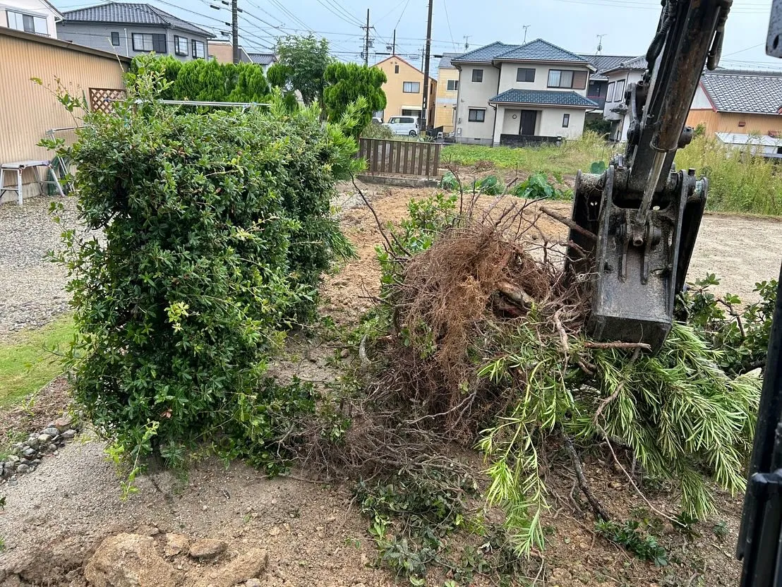 樹木伐採作業させて頂きました